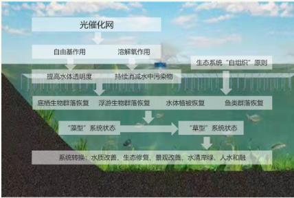 双良石墨烯光催化网让黑臭河整治不再犯难